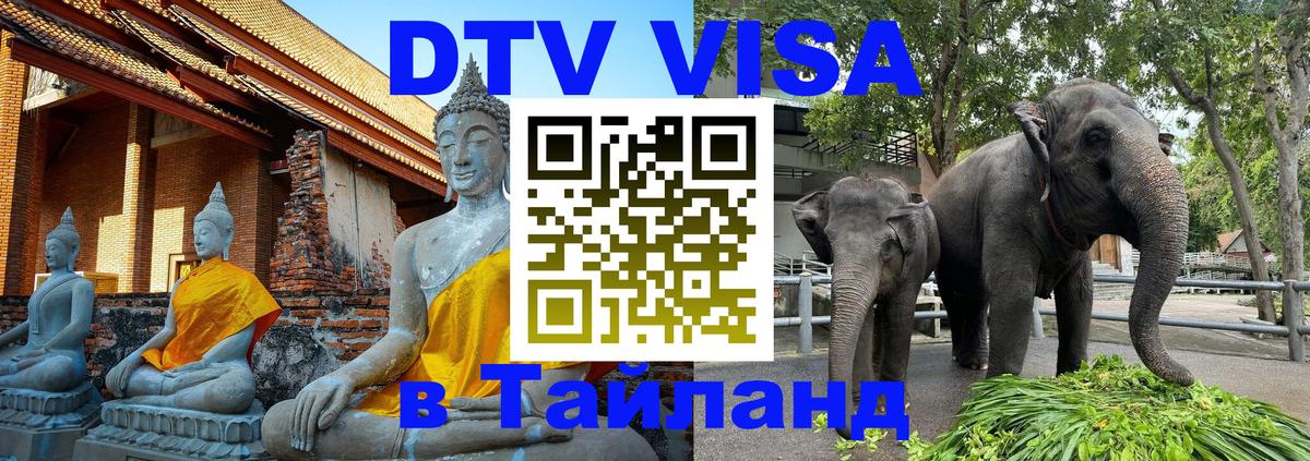 Оформление DTV визы под ключ: стоимость и тарифы, только загранпаспорт - Севастополь 